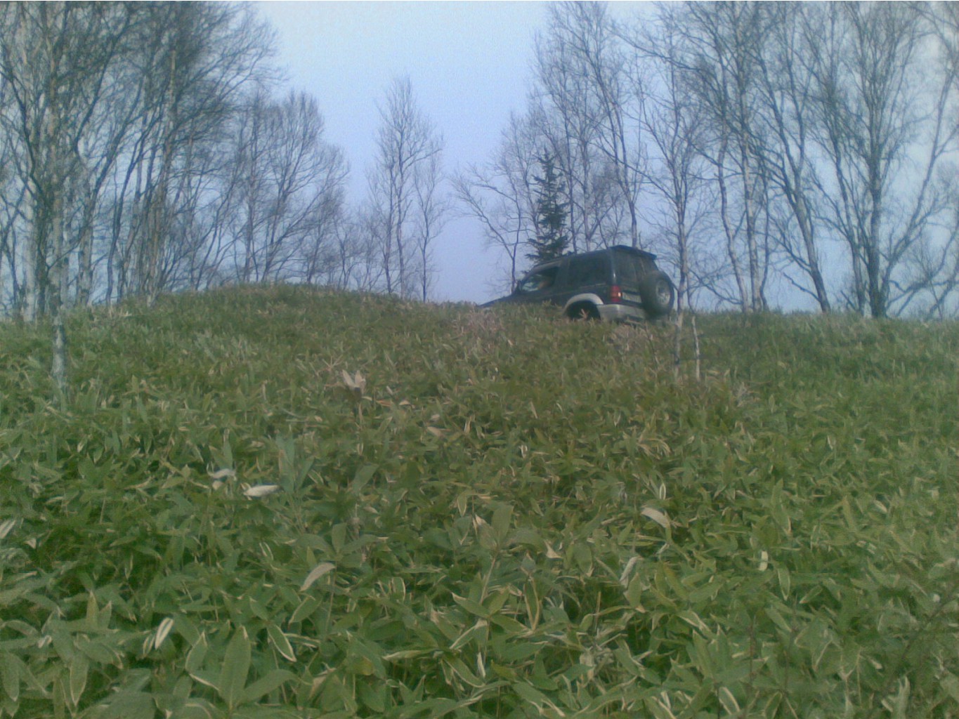030.jpg
