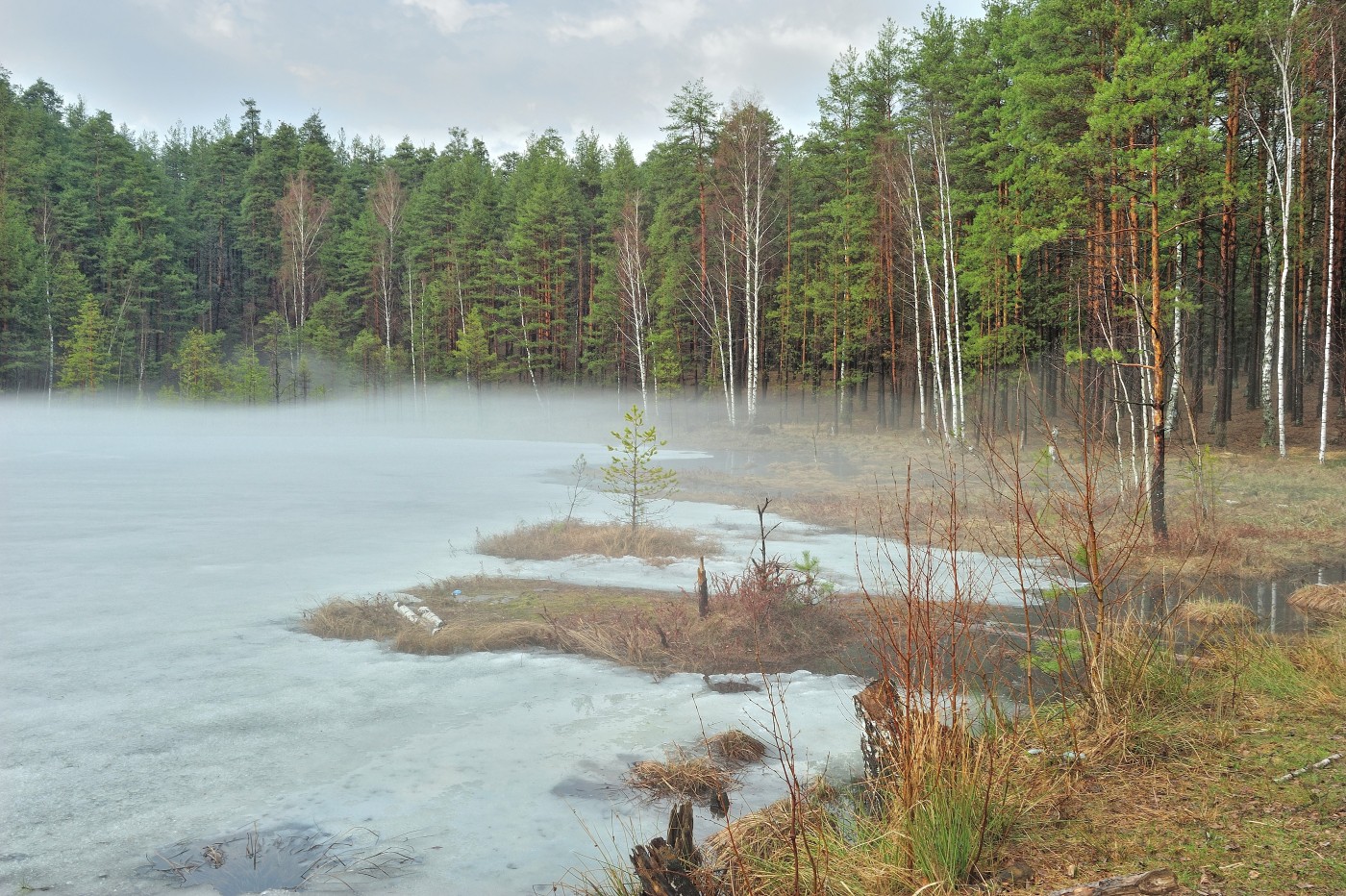 DSC_6318_039.JPG