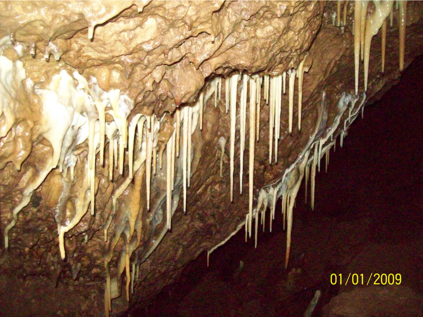 18.01.2009 18:31:34