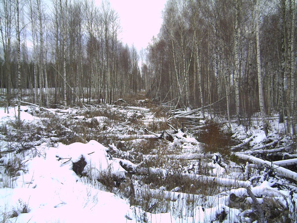 PICT0013.JPG