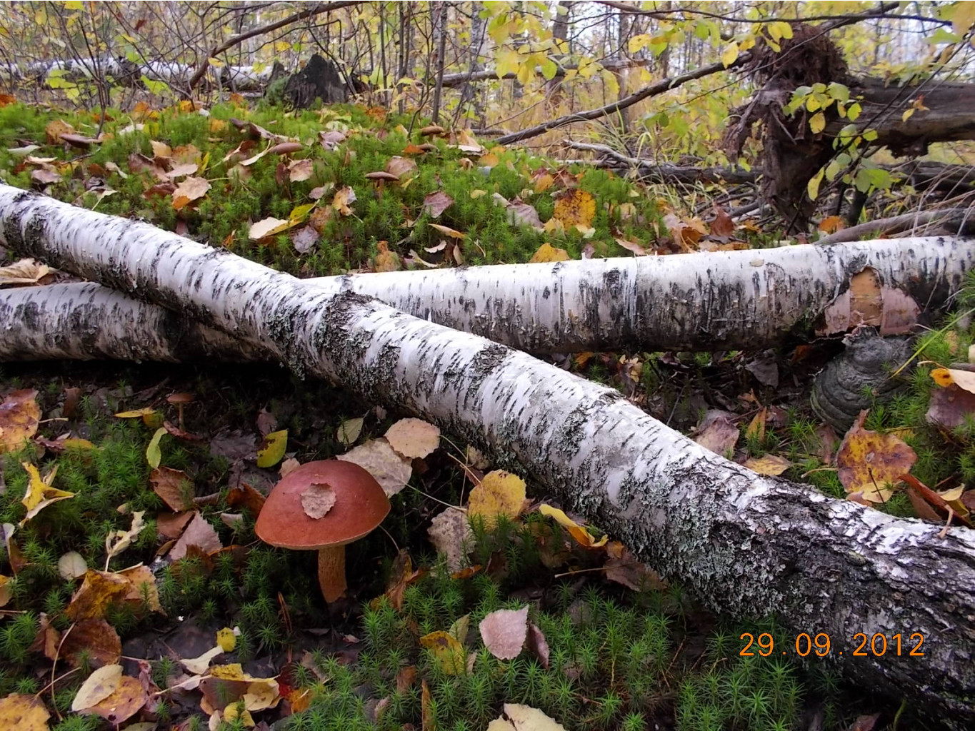 DSCN0360.JPG