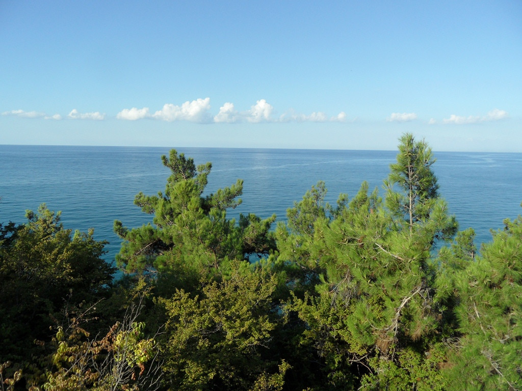  2012.09.11 09.26.53.JPG