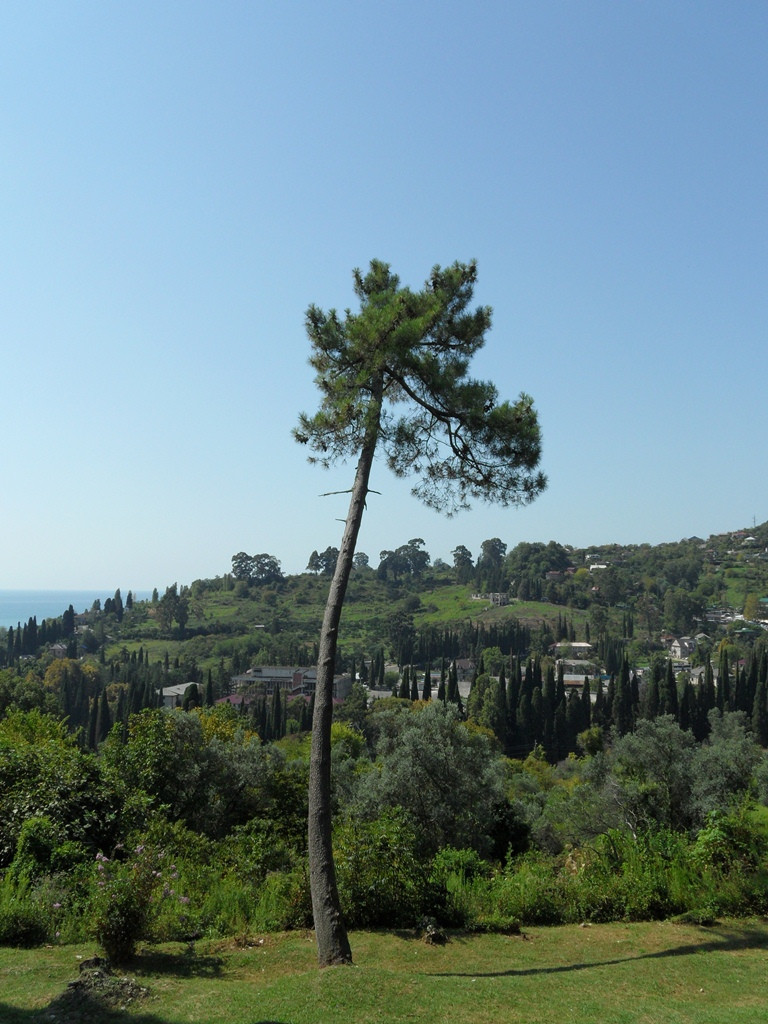  2012.09.15 14.05.50.JPG