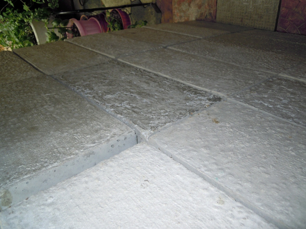 DSCN5067.JPG