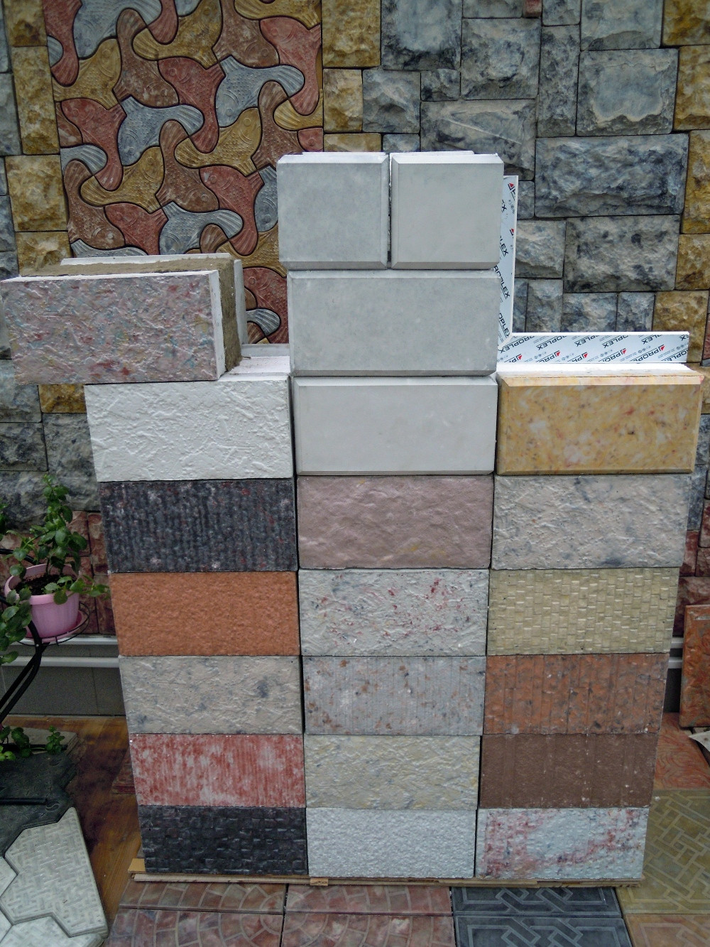 DSCN5071.JPG