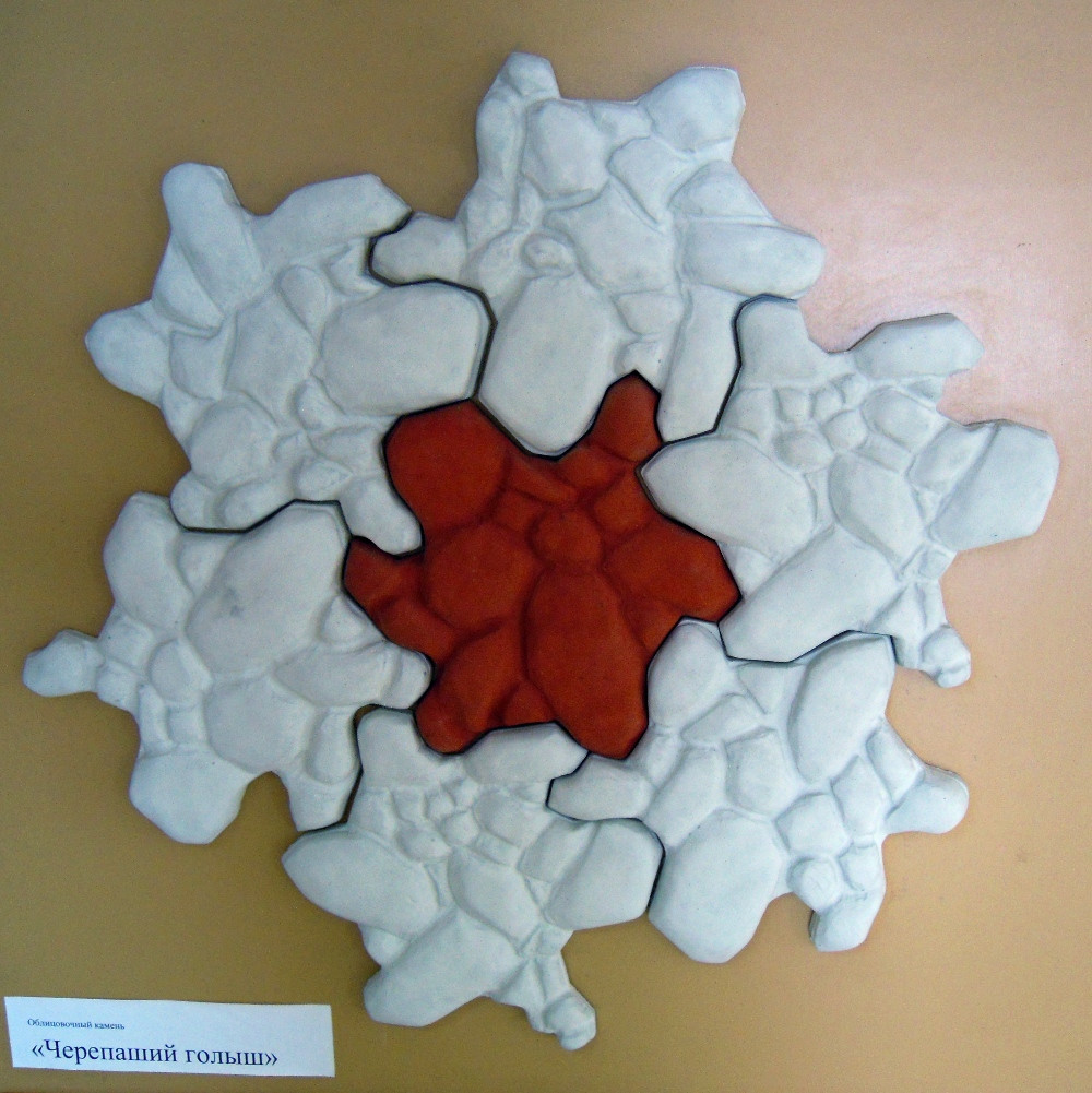 DSCN5008.JPG