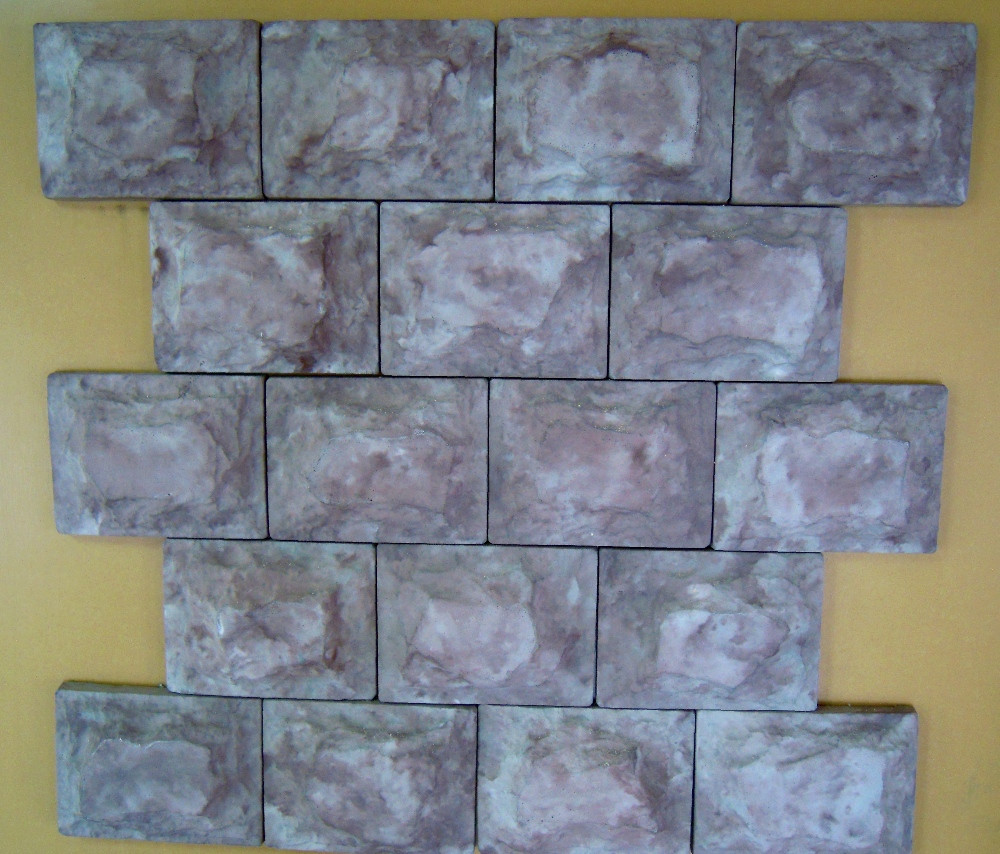 DSCN5017.JPG