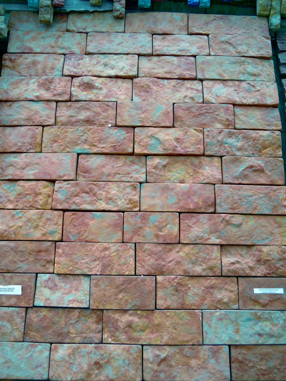 DSCN5037.JPG
