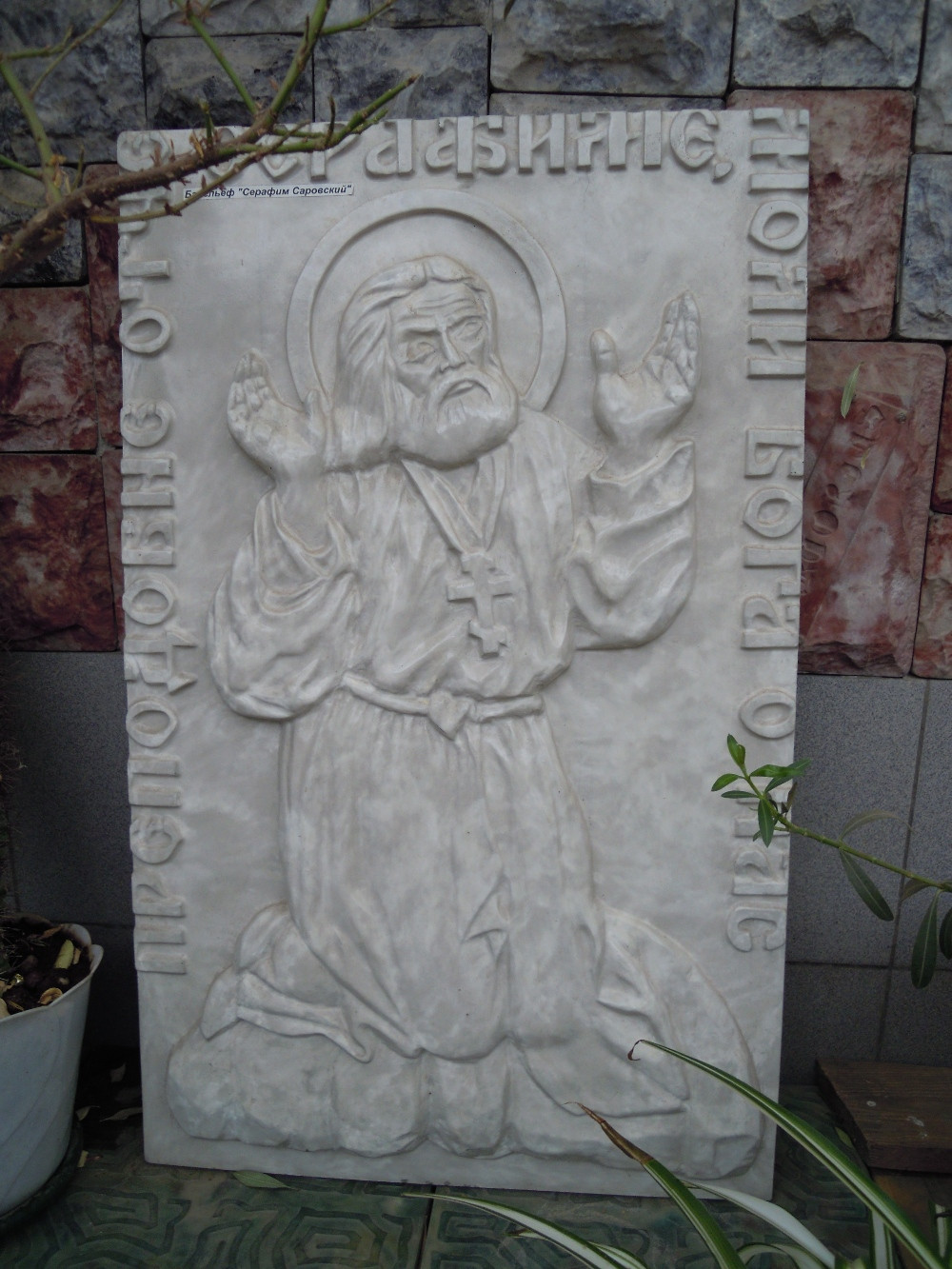 DSCN5078.JPG