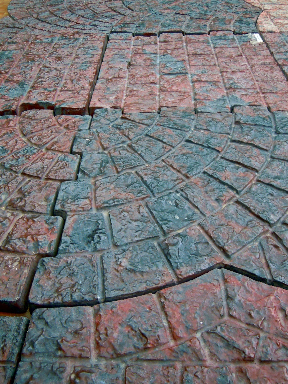 DSCN5029.JPG