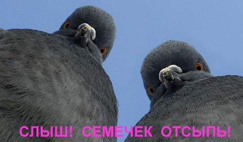 26.01.2009 22:30:09
