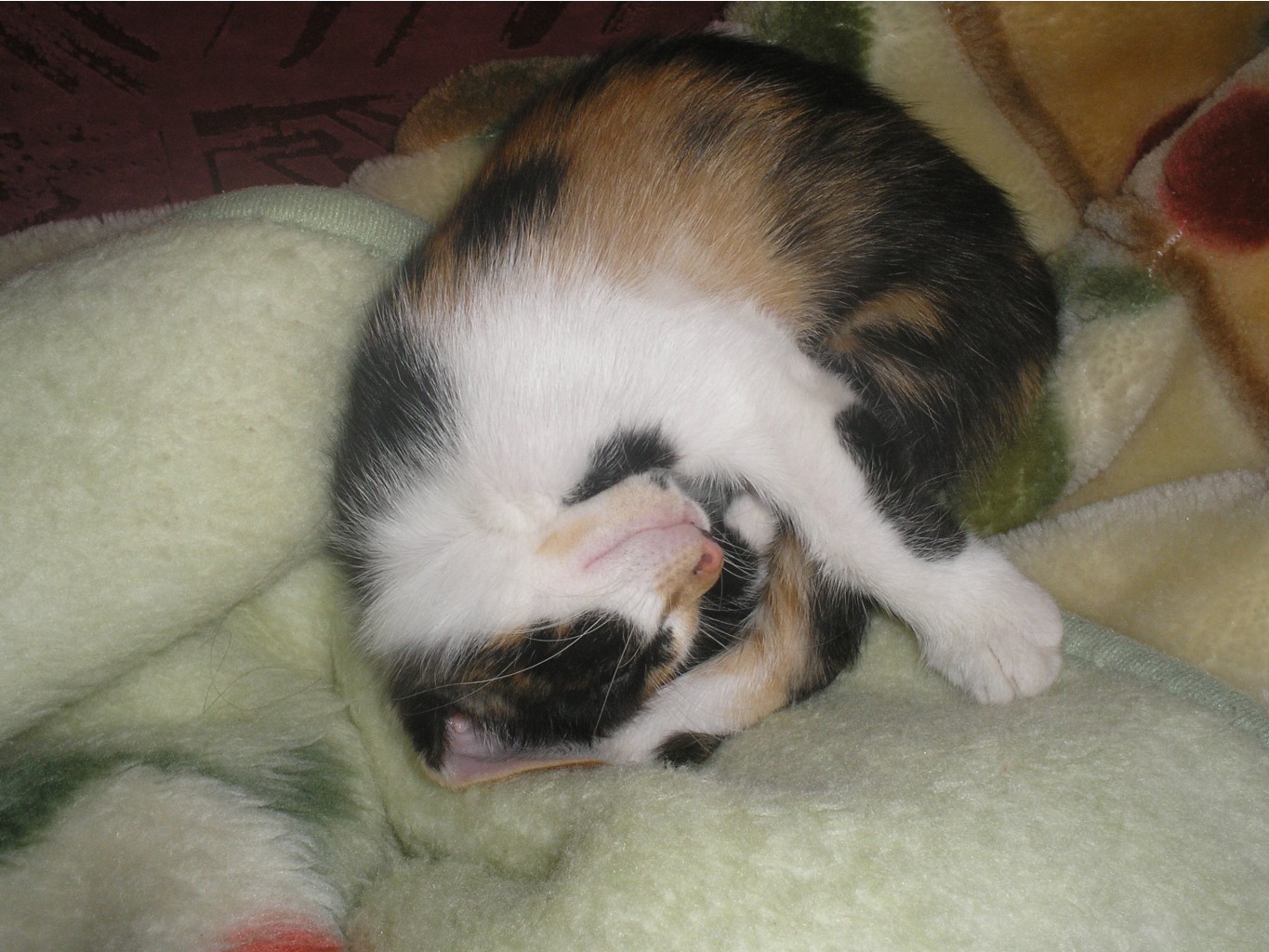 01.09.2010 14:29:37