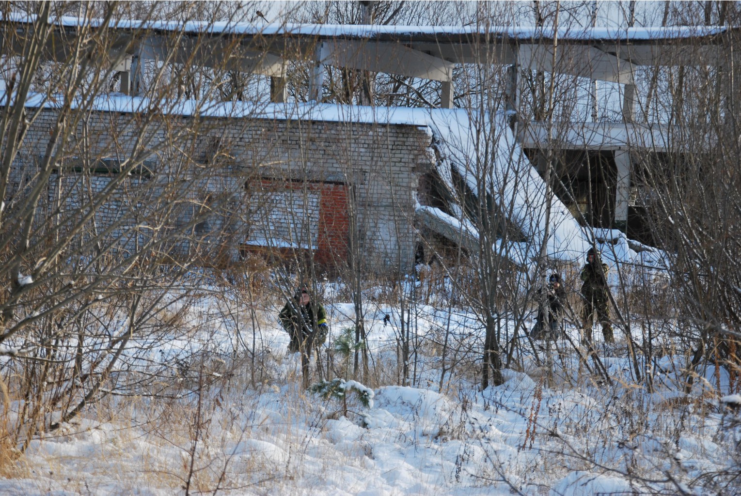 DSC_0030_ .JPG