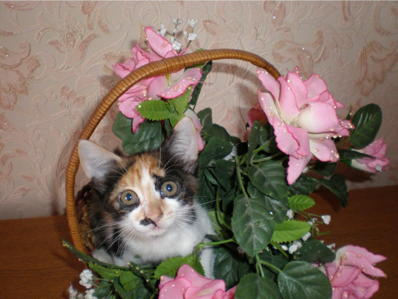 01.09.2010 14:39:31