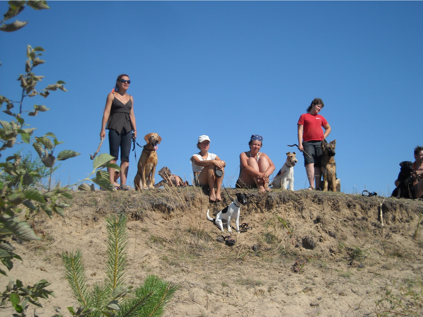 01.09.2010 15:40:35
