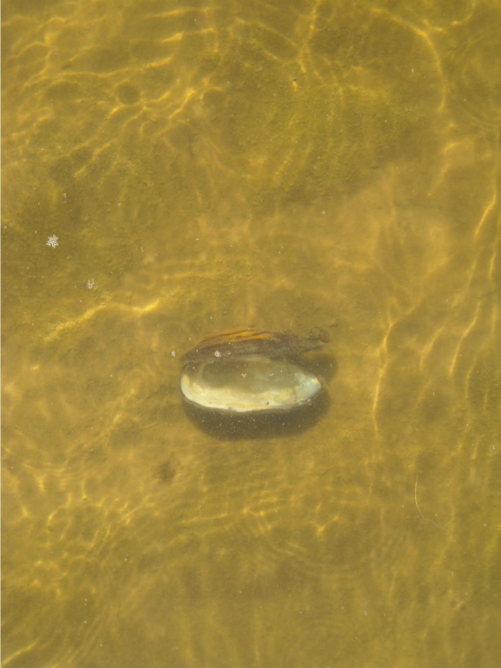 01.09.2010 15:52:16