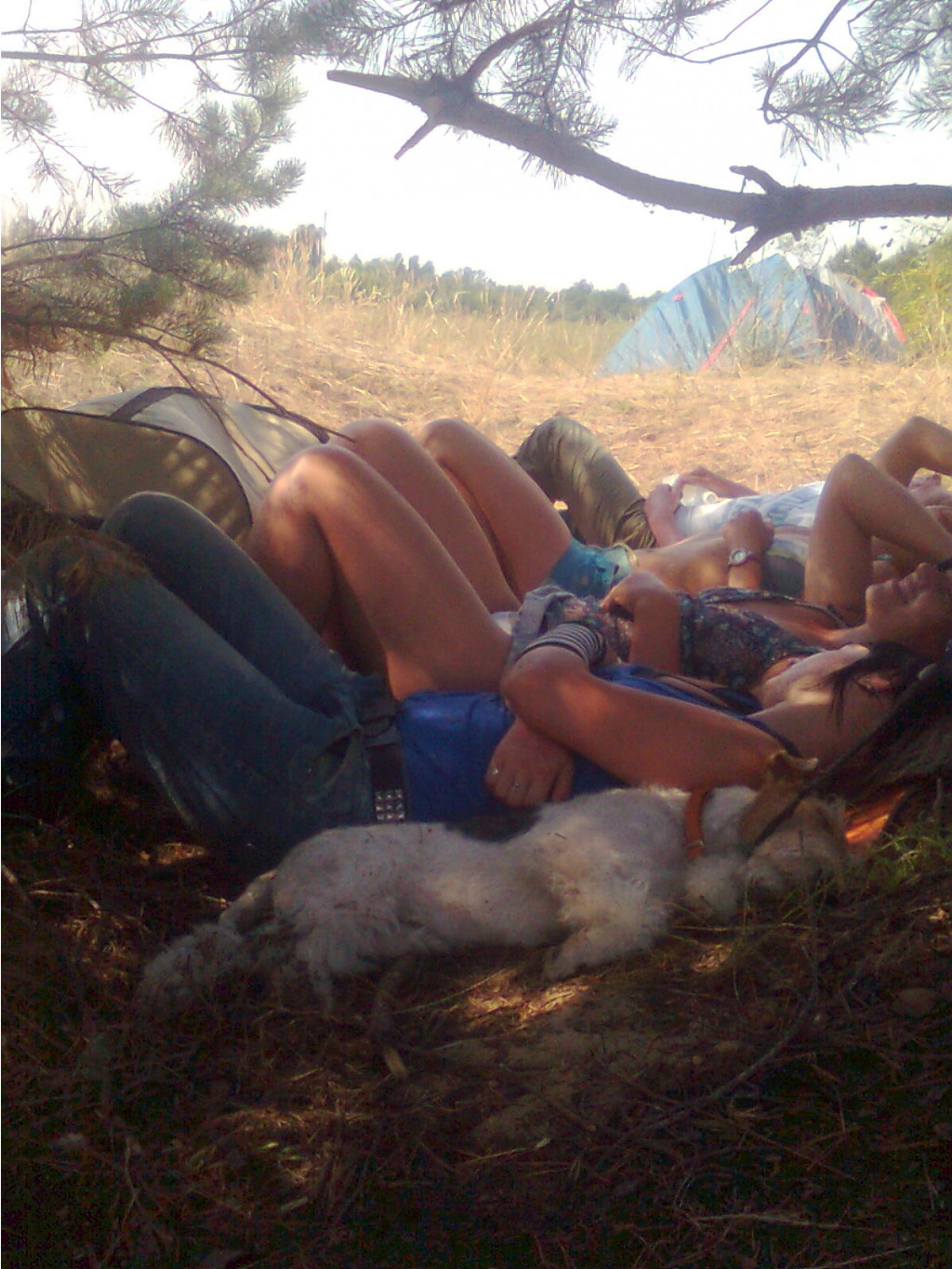 01.09.2010 16:19:59