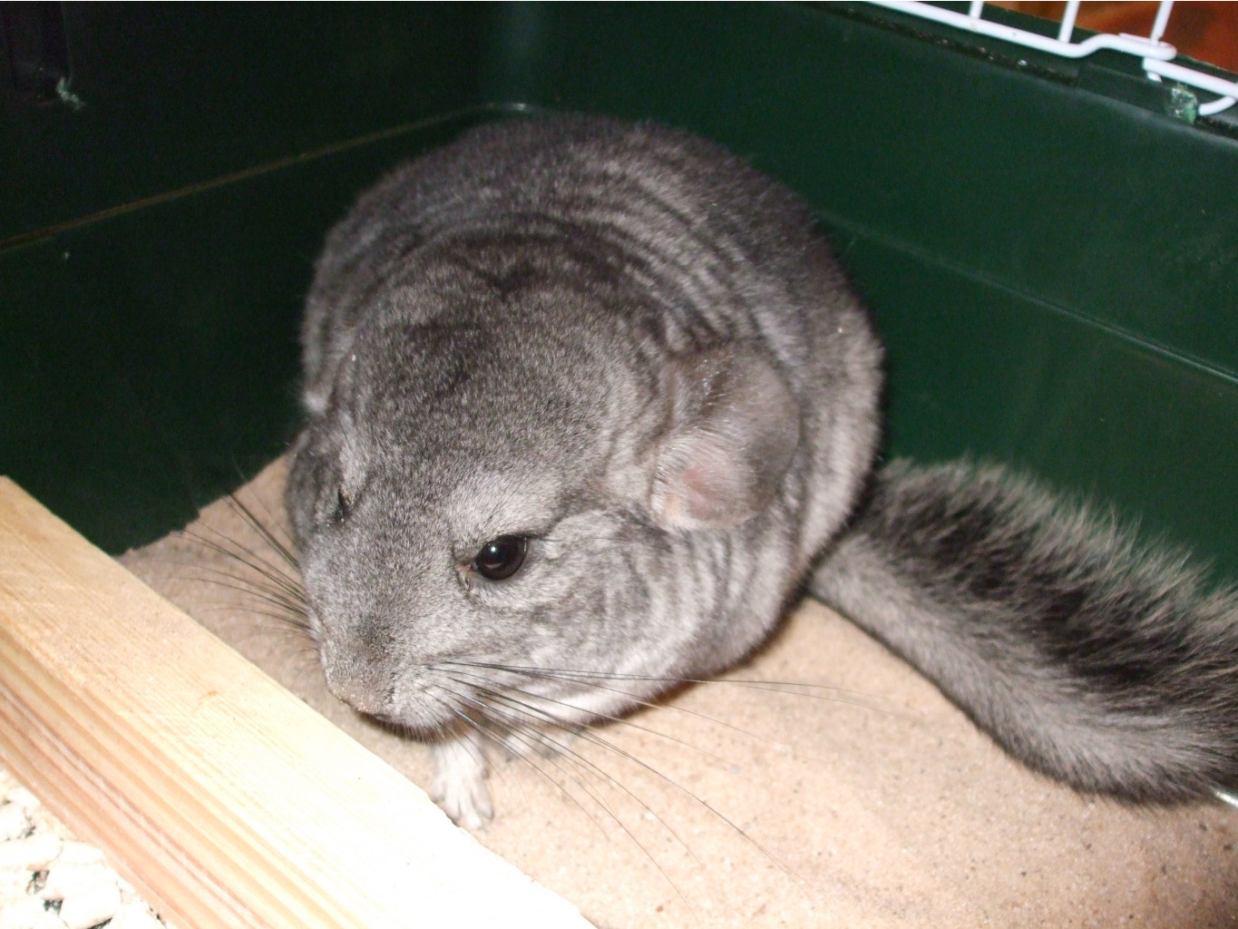 DSCF6281.JPG