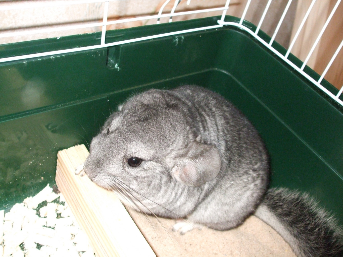 DSCF6280.JPG
