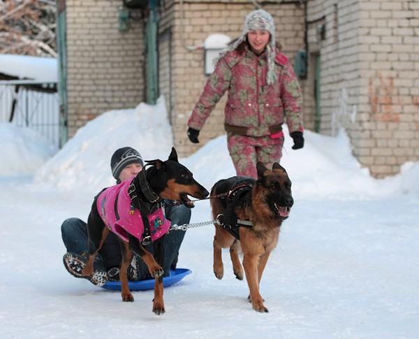Покатушки