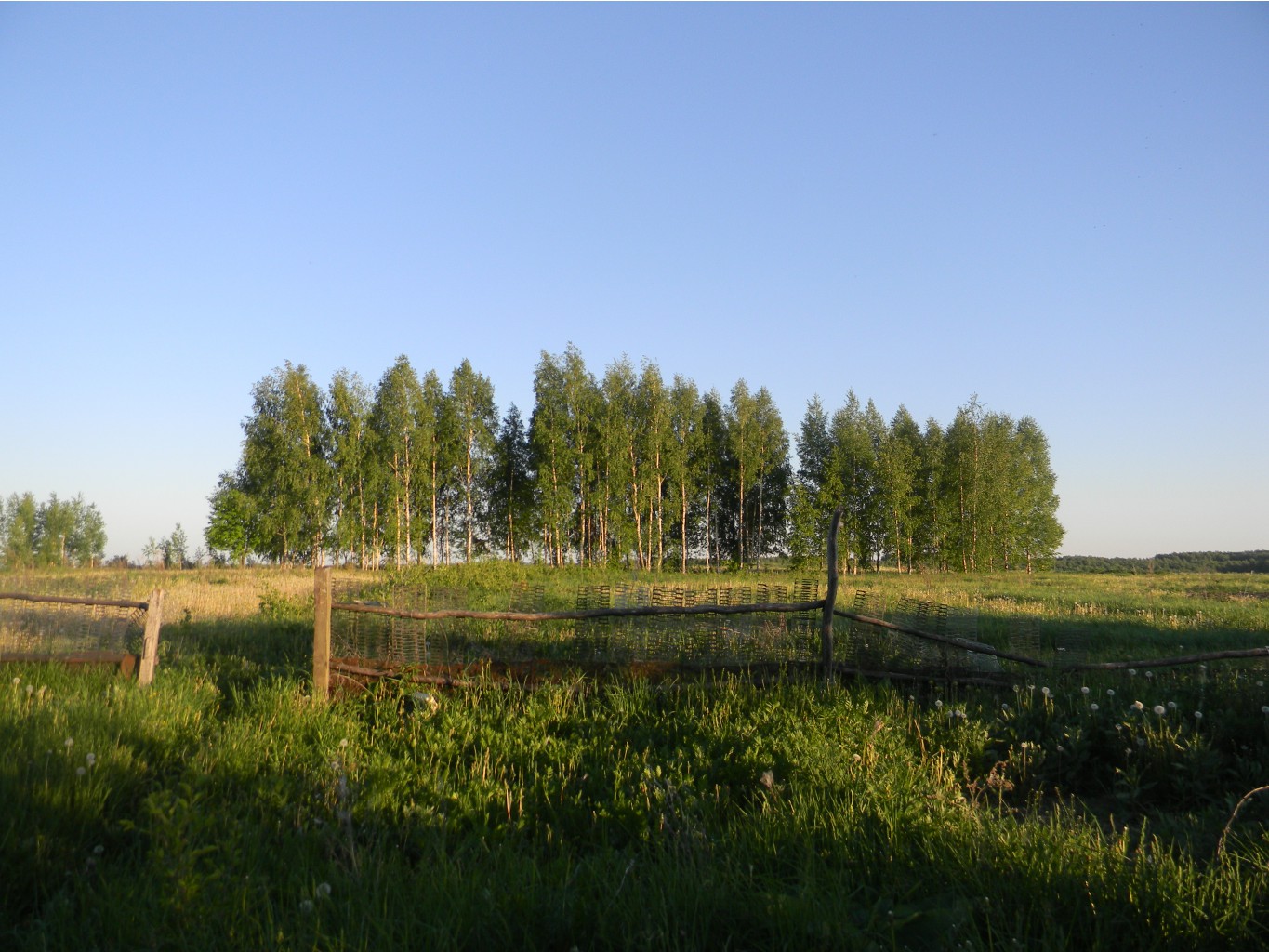 Vesna-Leto-2011- 115.jpg