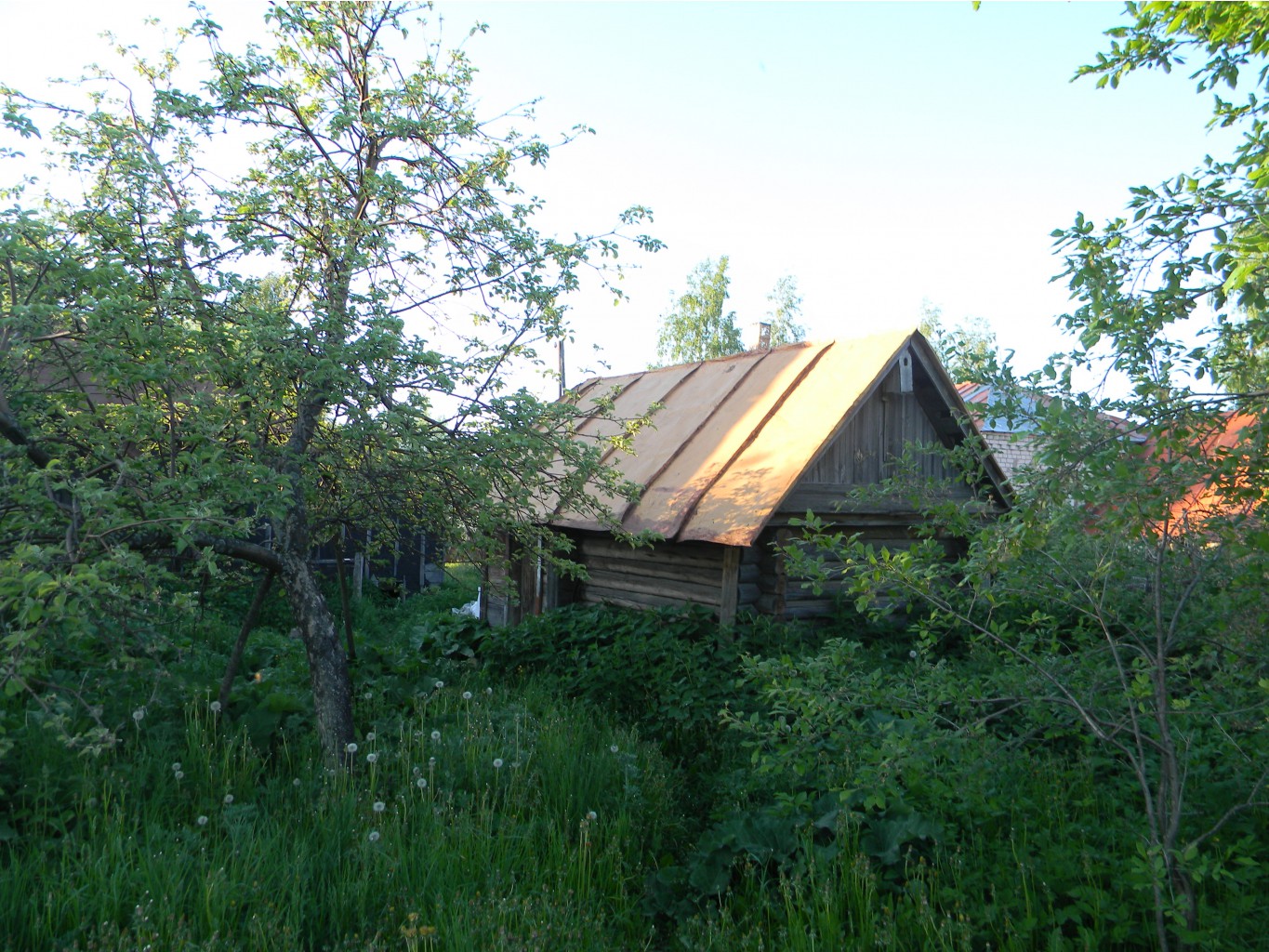 Vesna-Leto-2011- 114.jpg