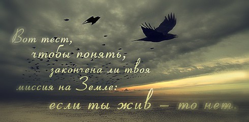 02.09.2010 8:47:06