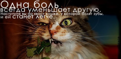 02.09.2010 8:47:47
