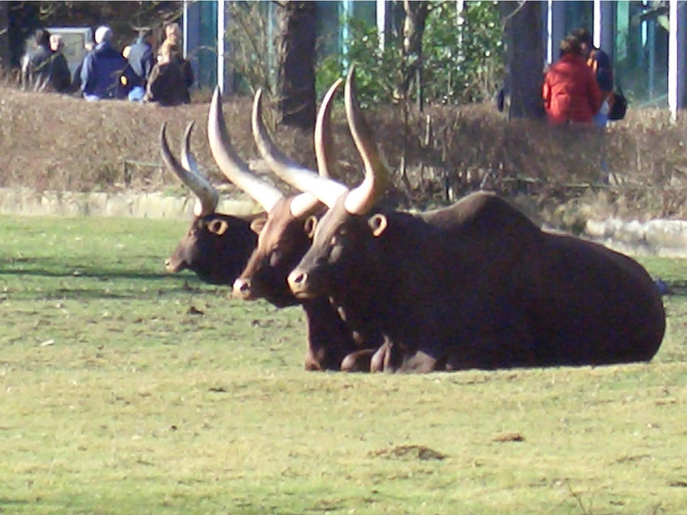    05,02,2007