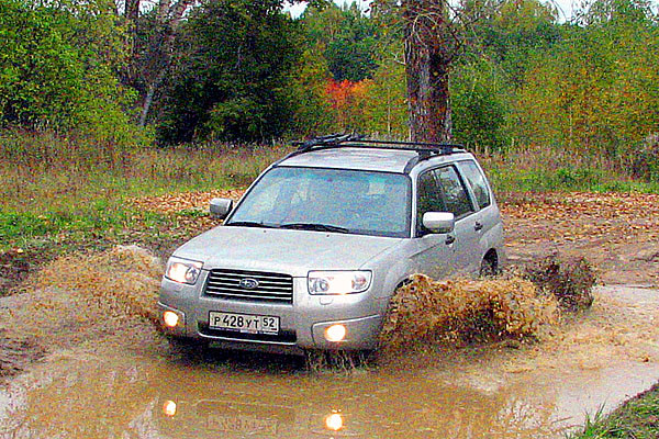 Forester1