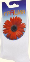  39,84.   h-003.jpg