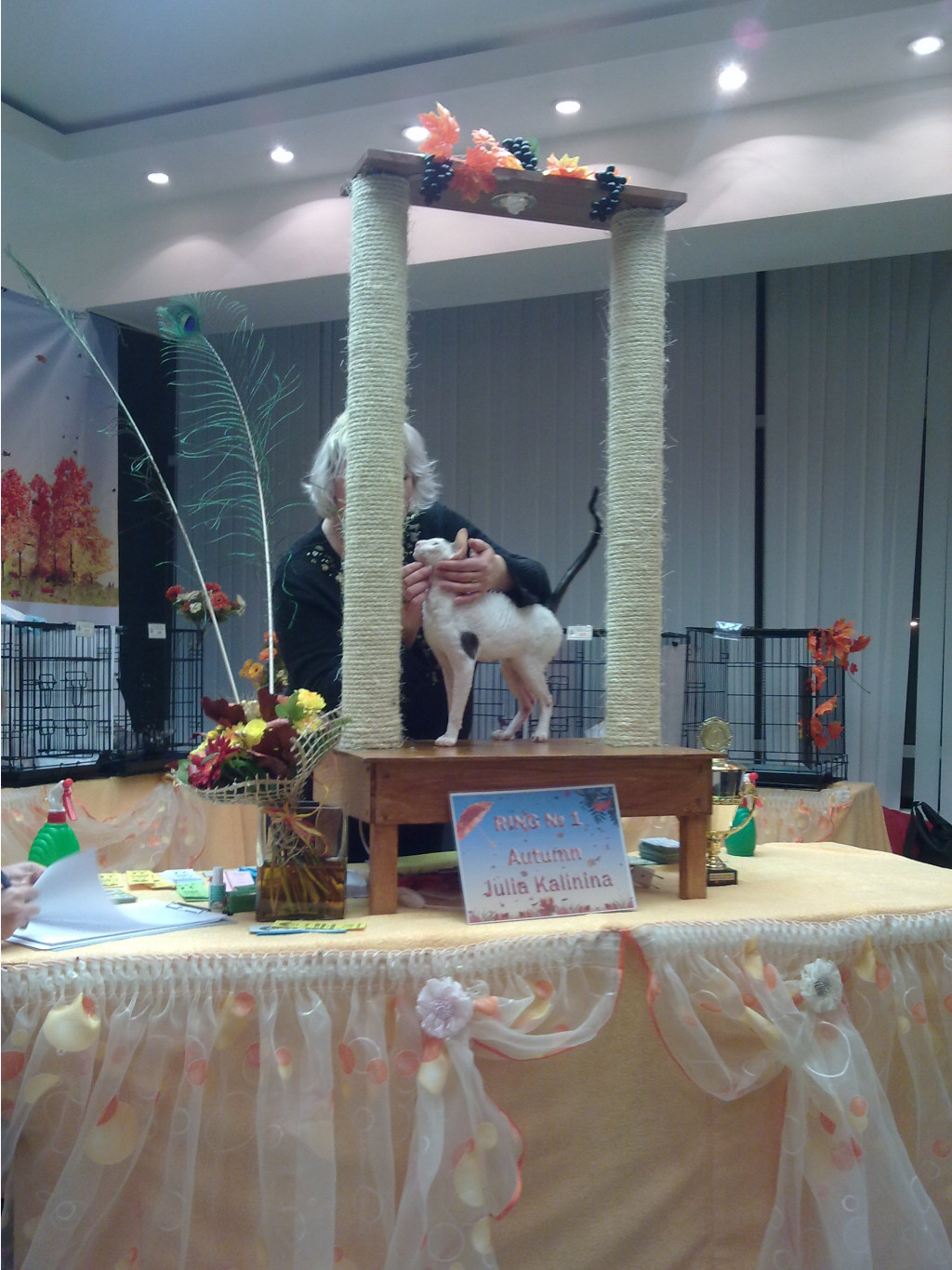 20112011856.jpg