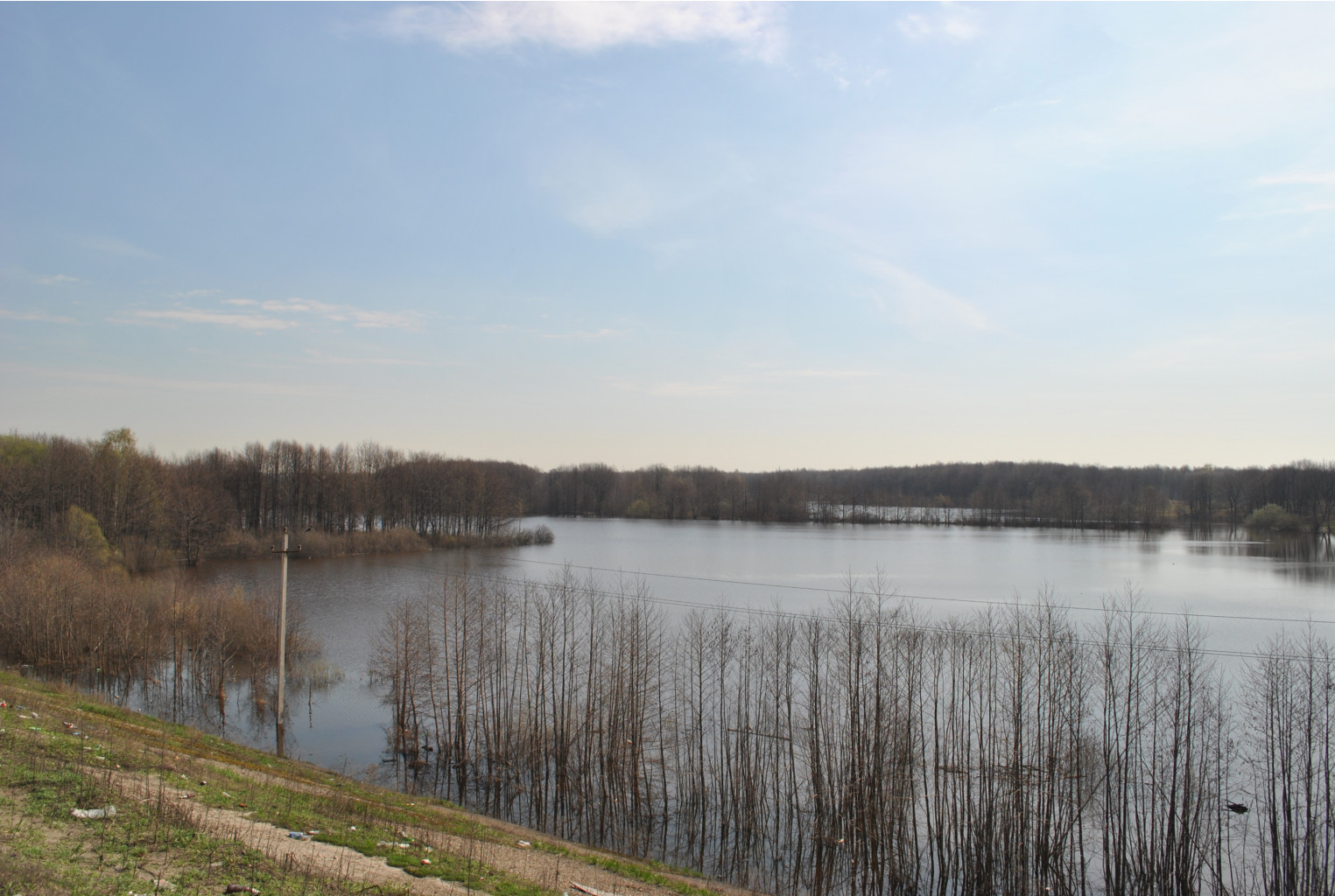 DSC_0754.jpg