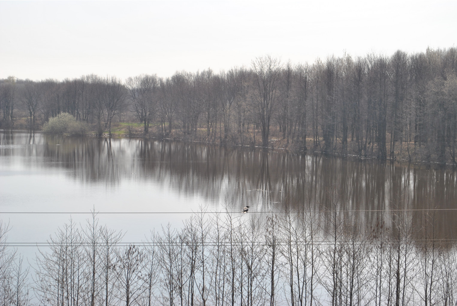 DSC_0756.jpg