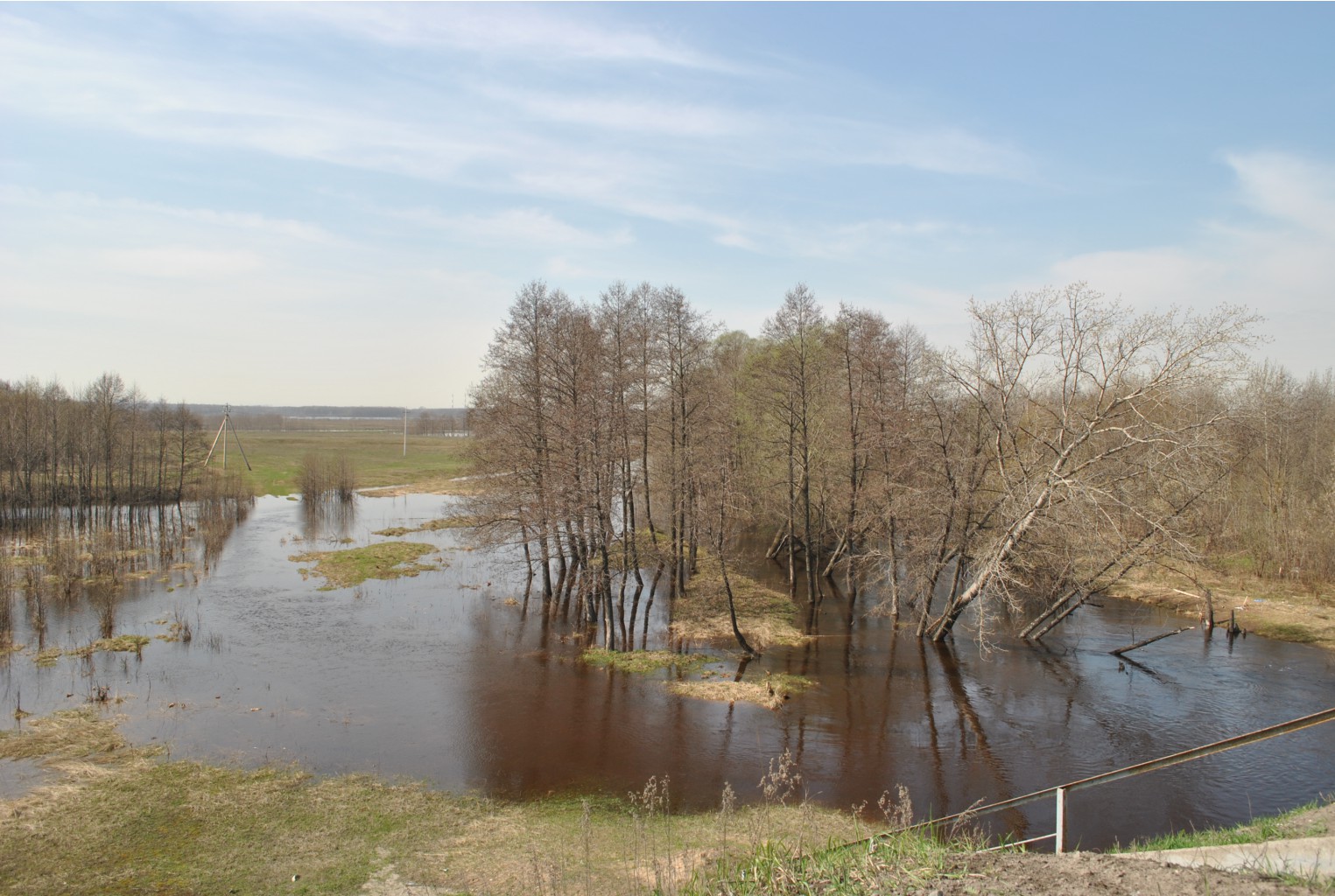 DSC_0766.jpg