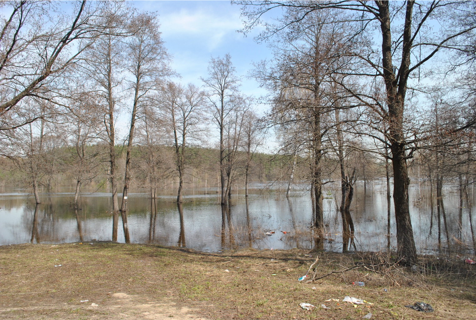 DSC_0779.jpg