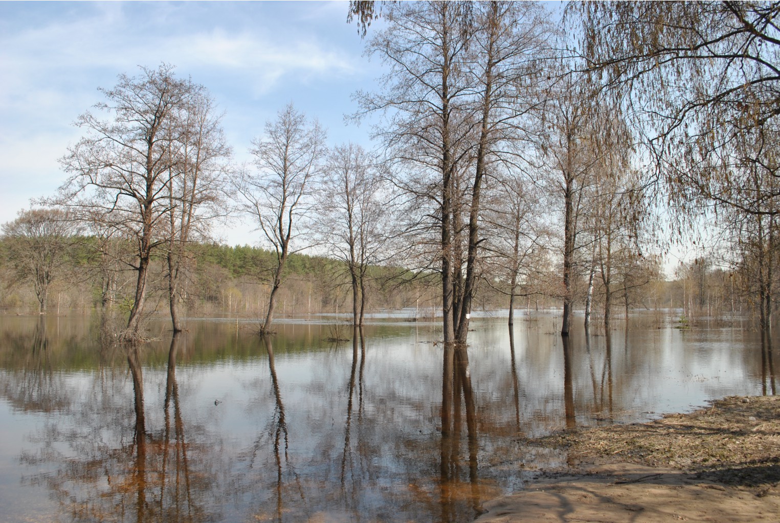 DSC_0784.jpg