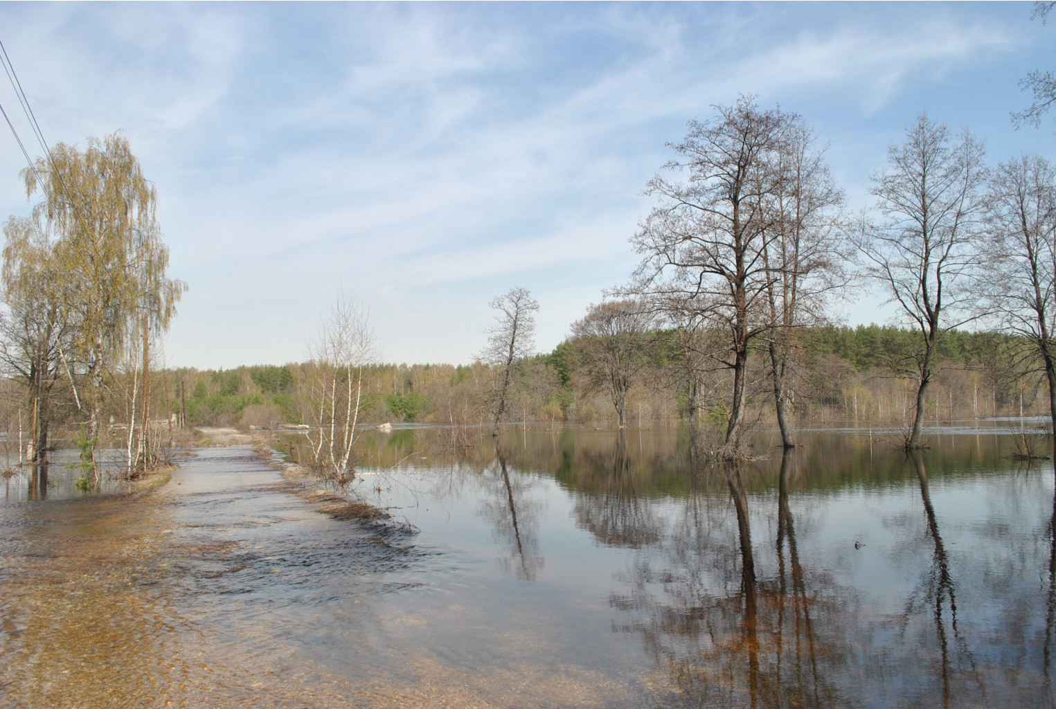 DSC_0785.jpg