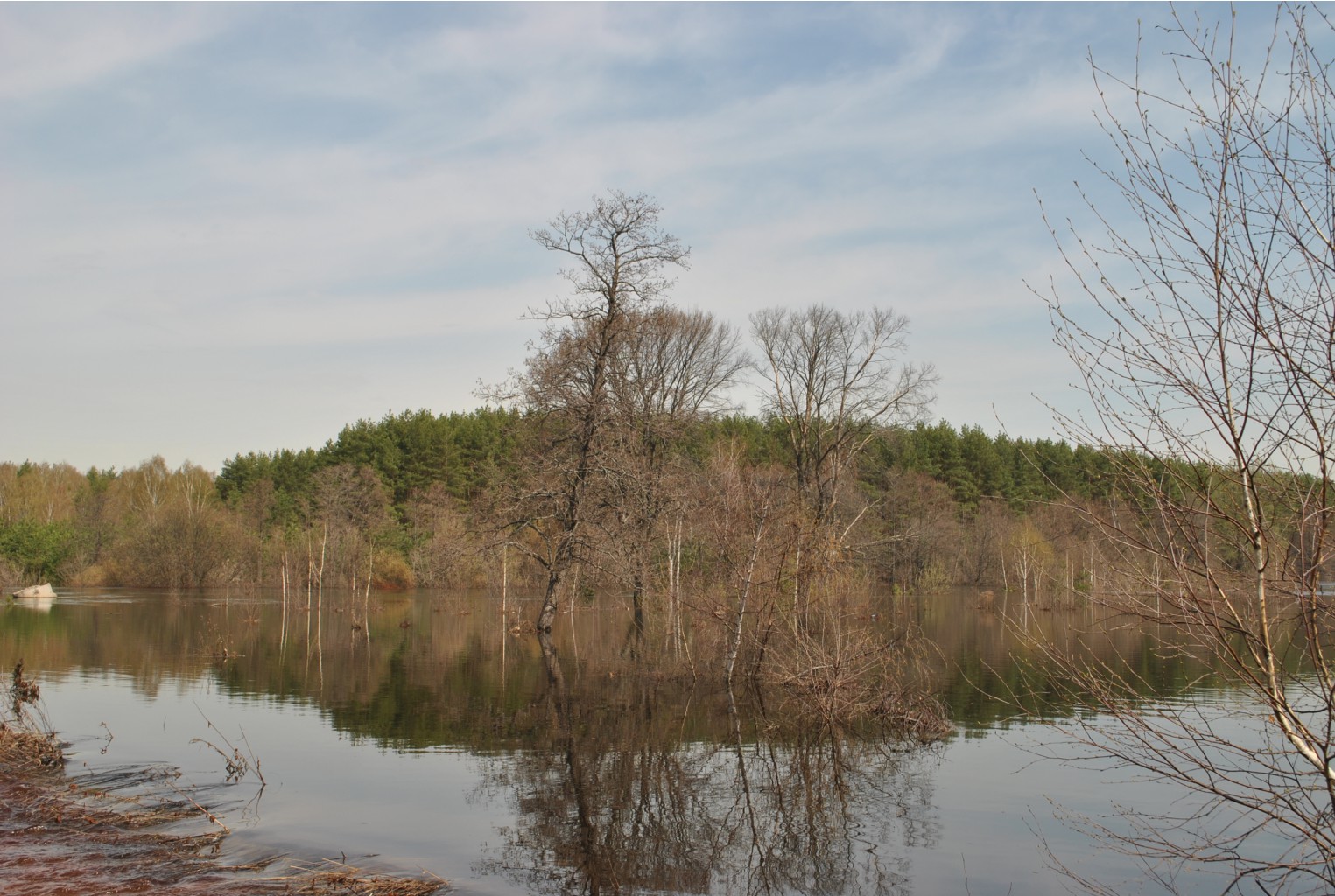 DSC_0795.jpg