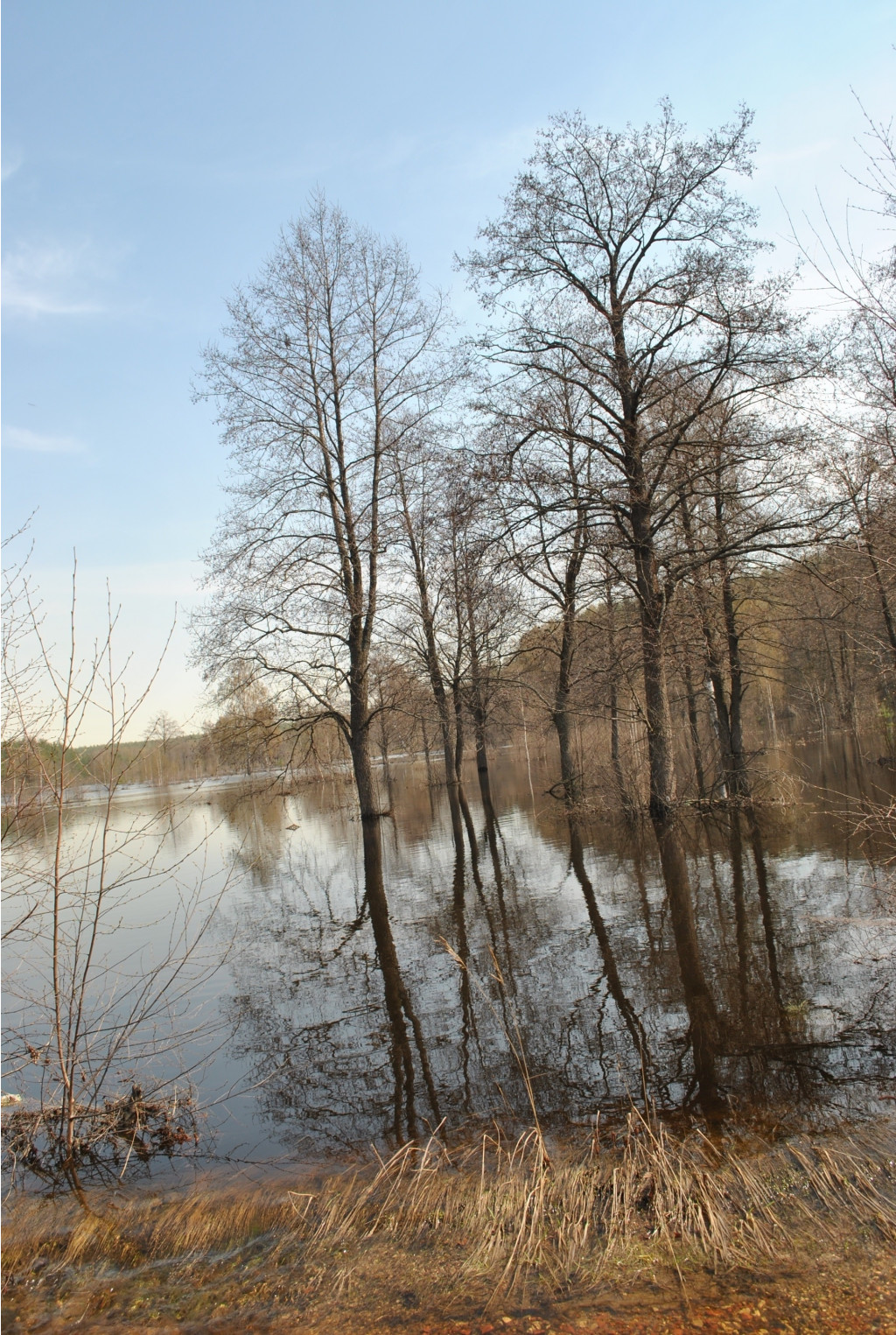 DSC_0796.jpg