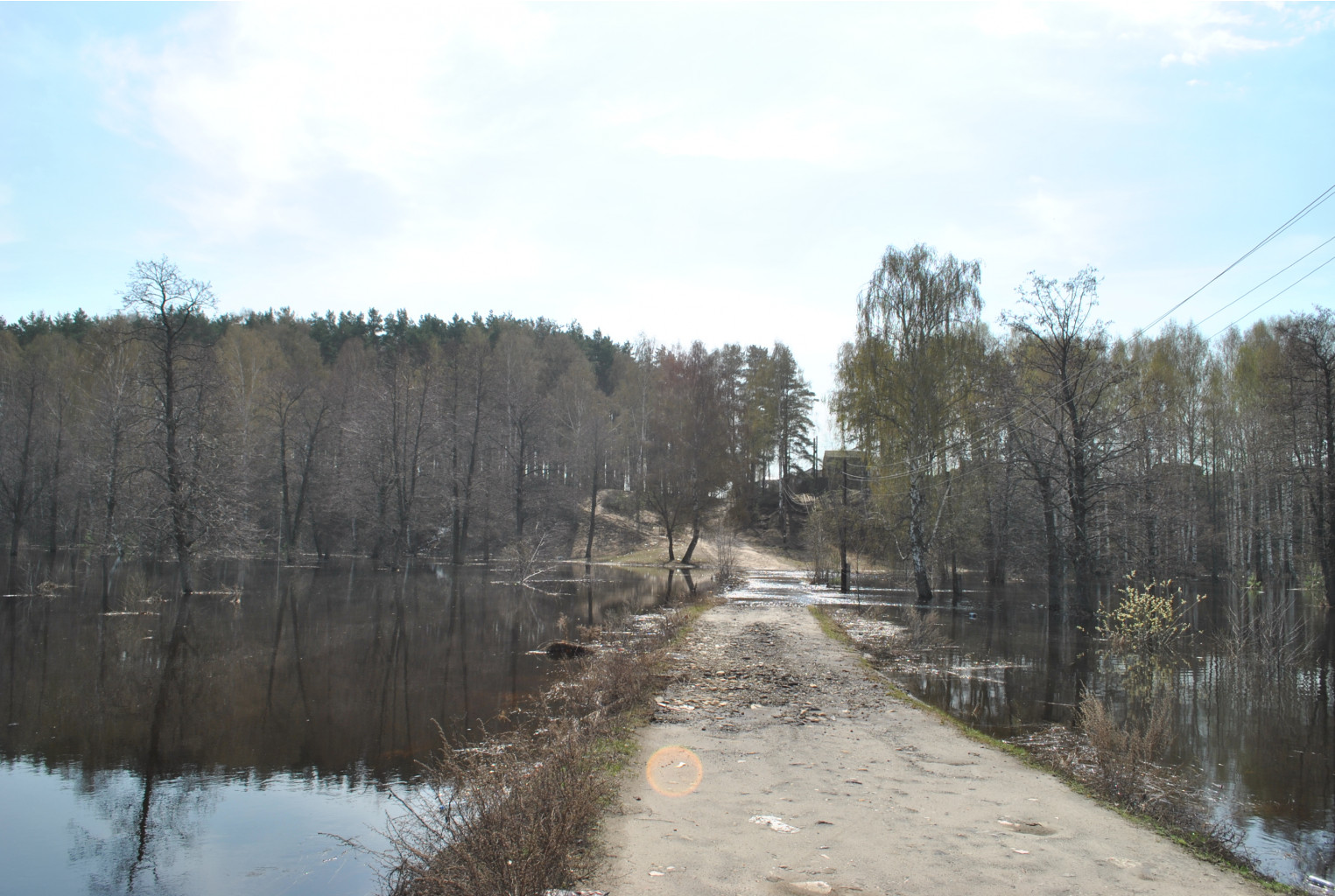 DSC_0800.jpg