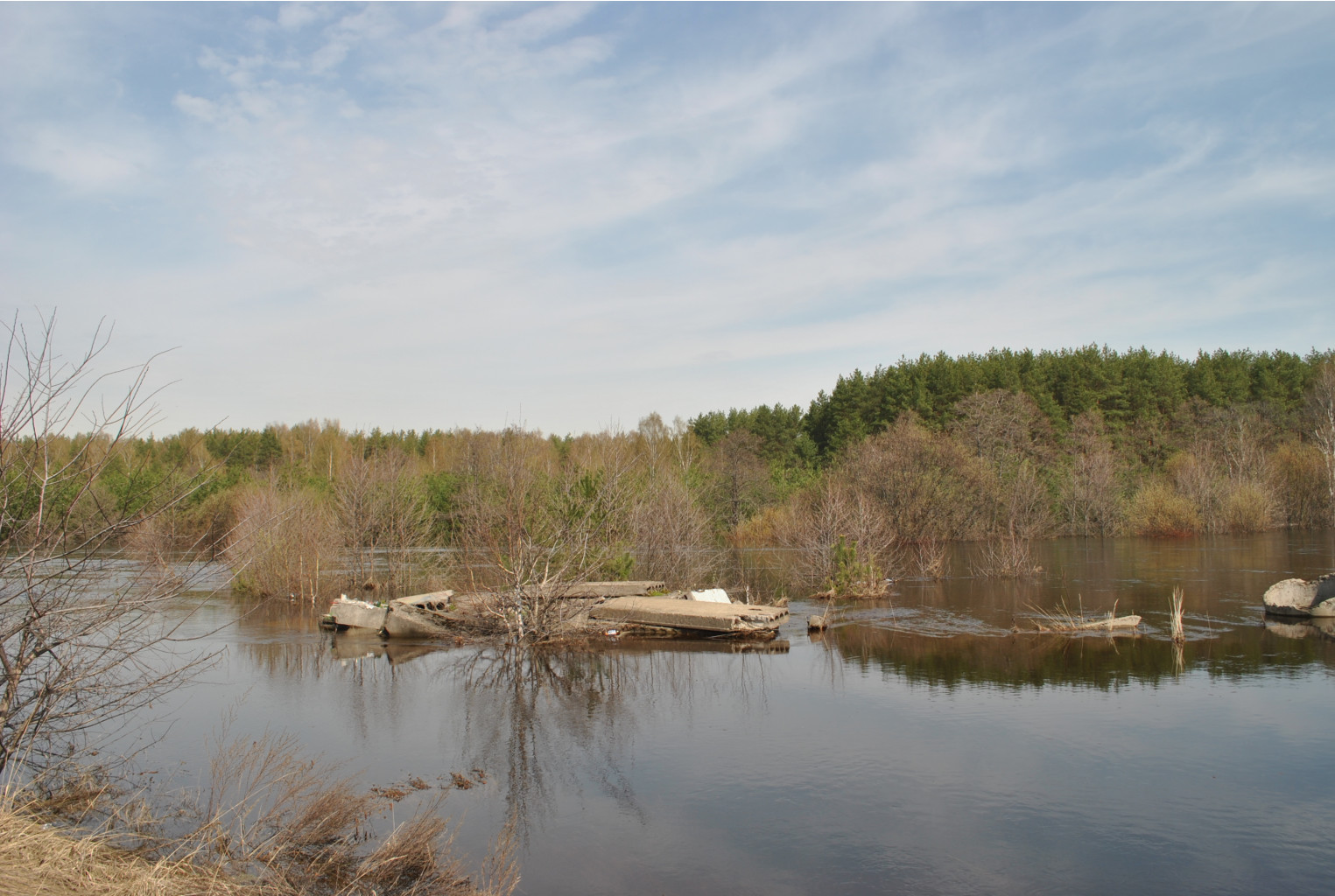 DSC_0803.jpg