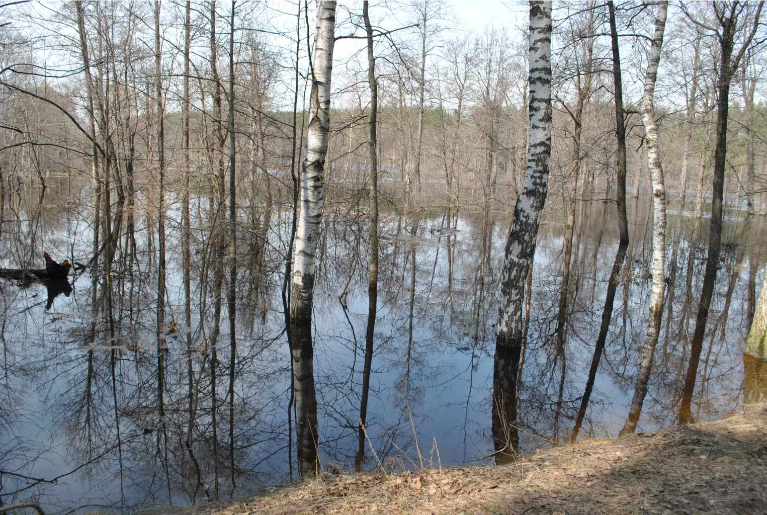 DSC_0812.jpg