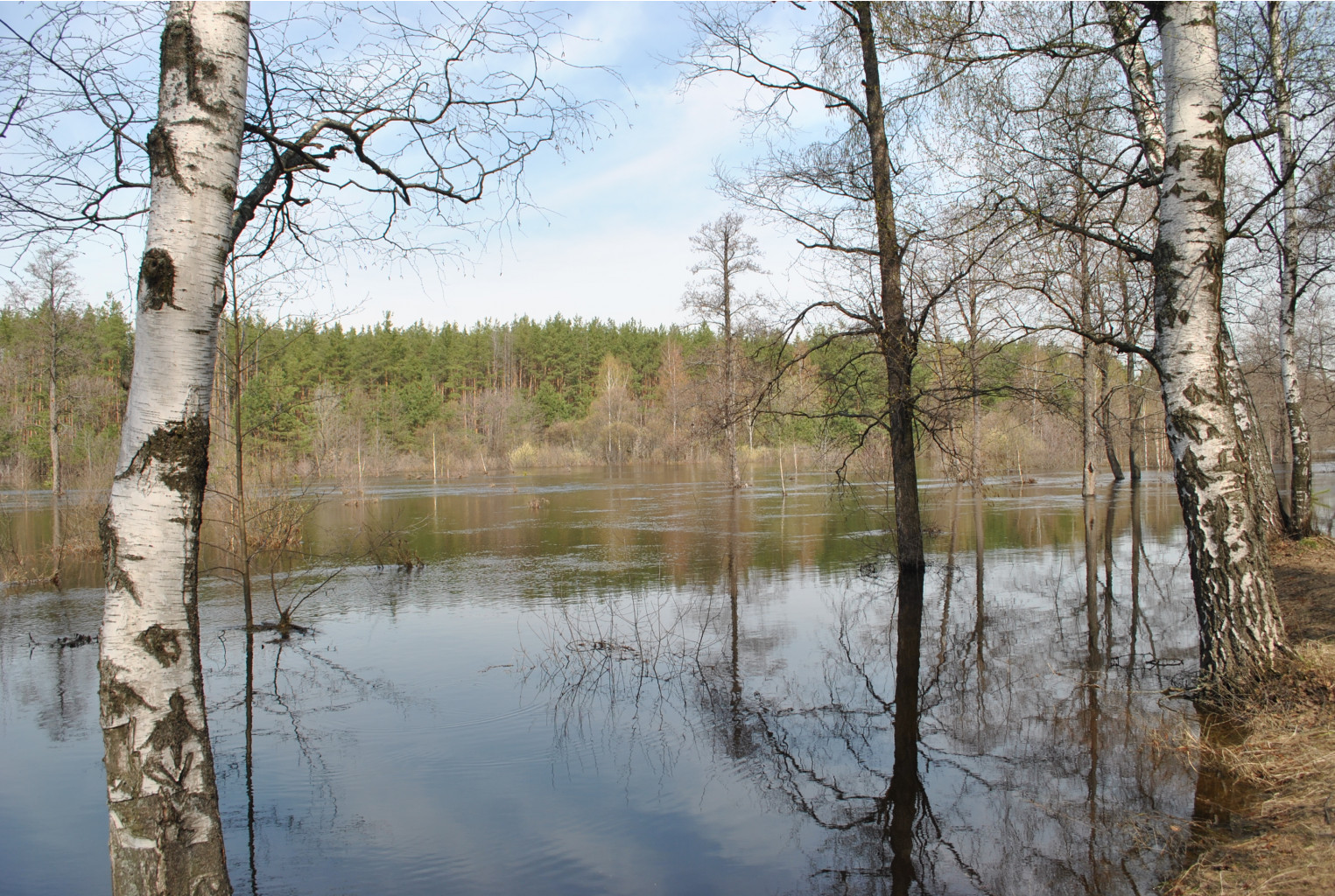 DSC_0815.jpg