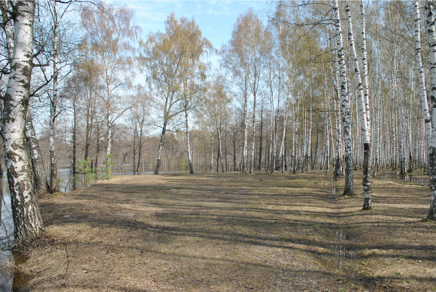 DSC_0817.jpg