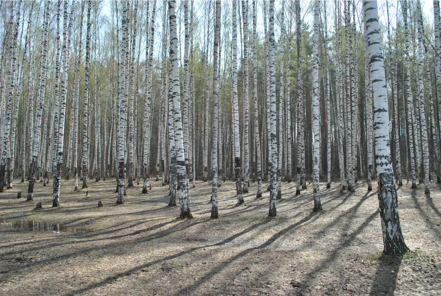 DSC_0819.jpg