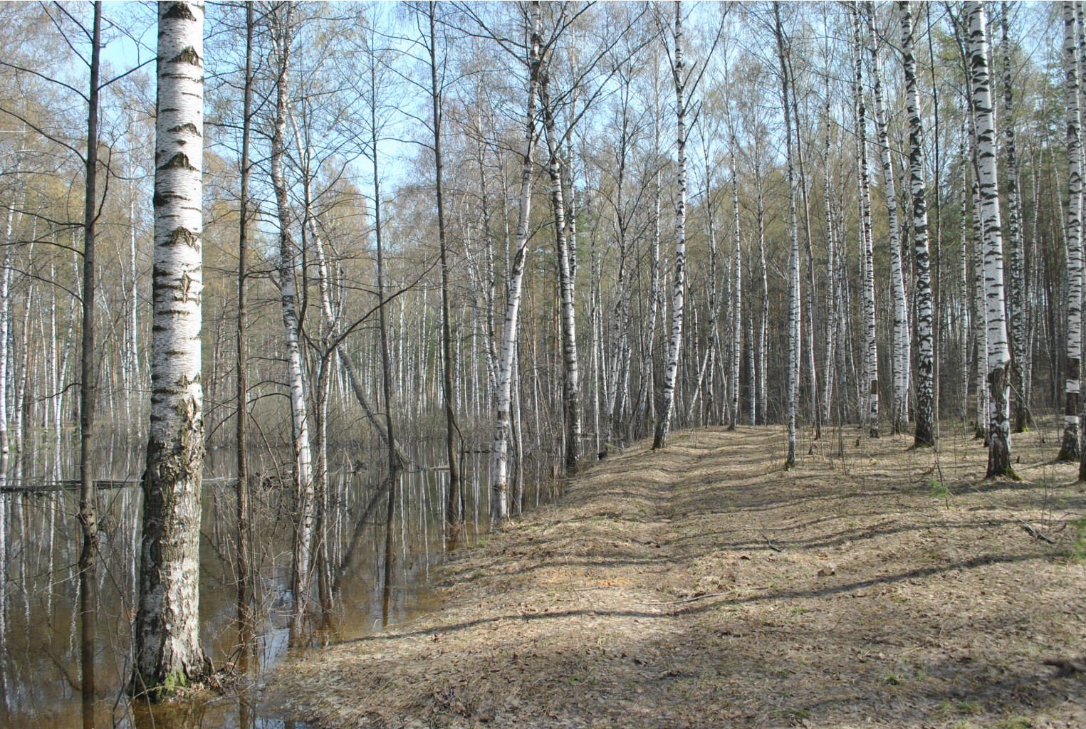 DSC_0820.jpg
