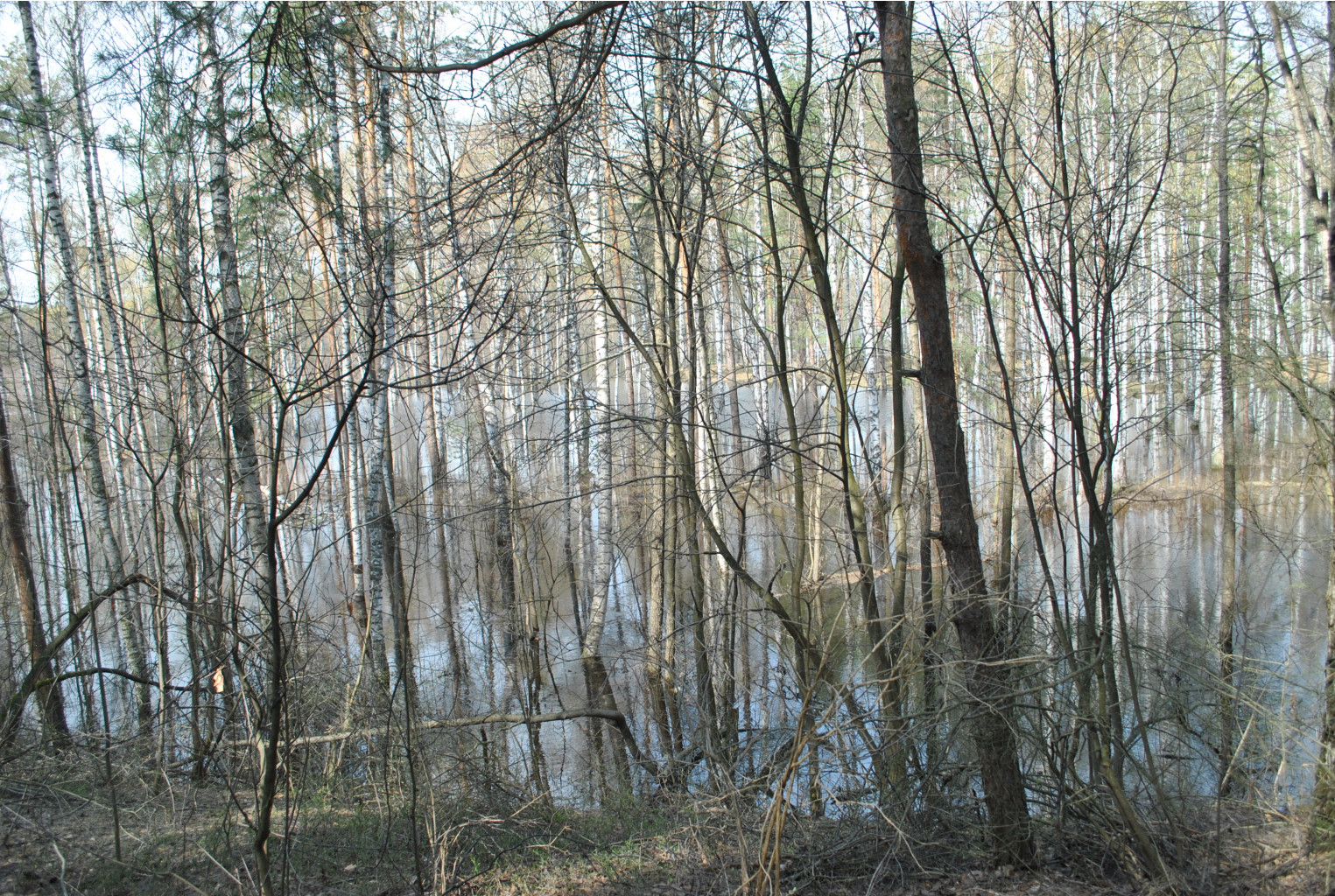 DSC_0823.jpg