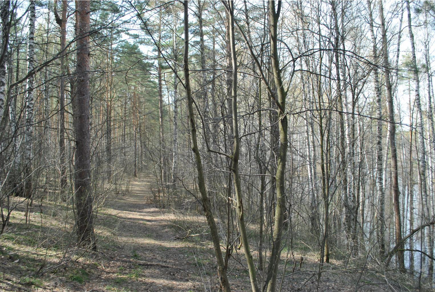 DSC_0824.jpg