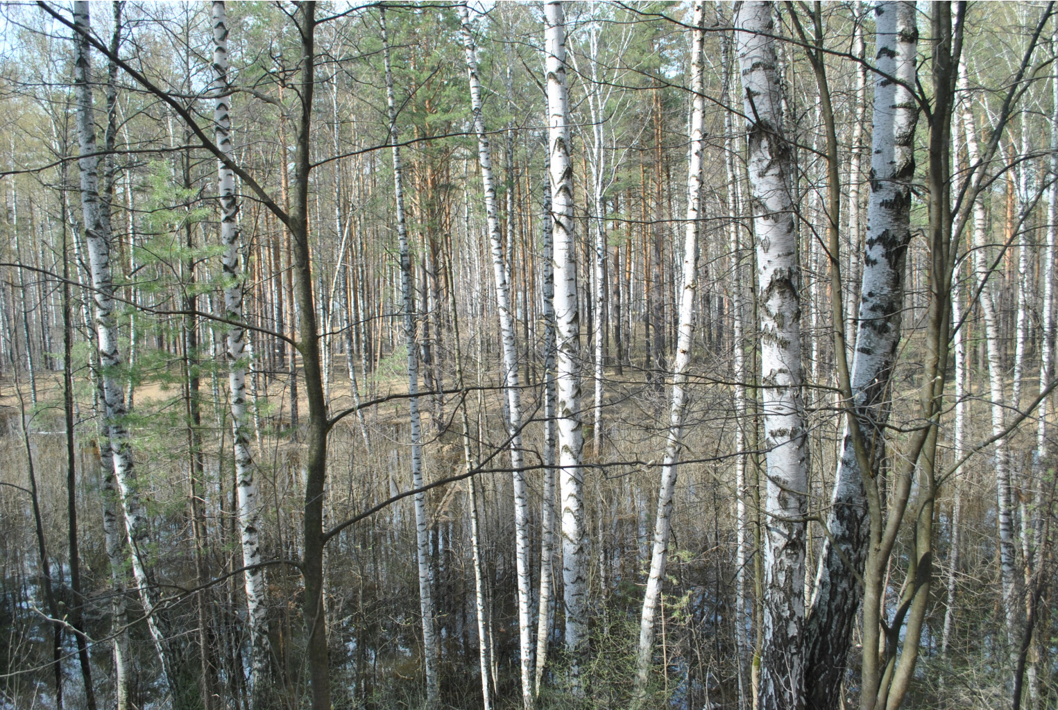 DSC_0827.jpg
